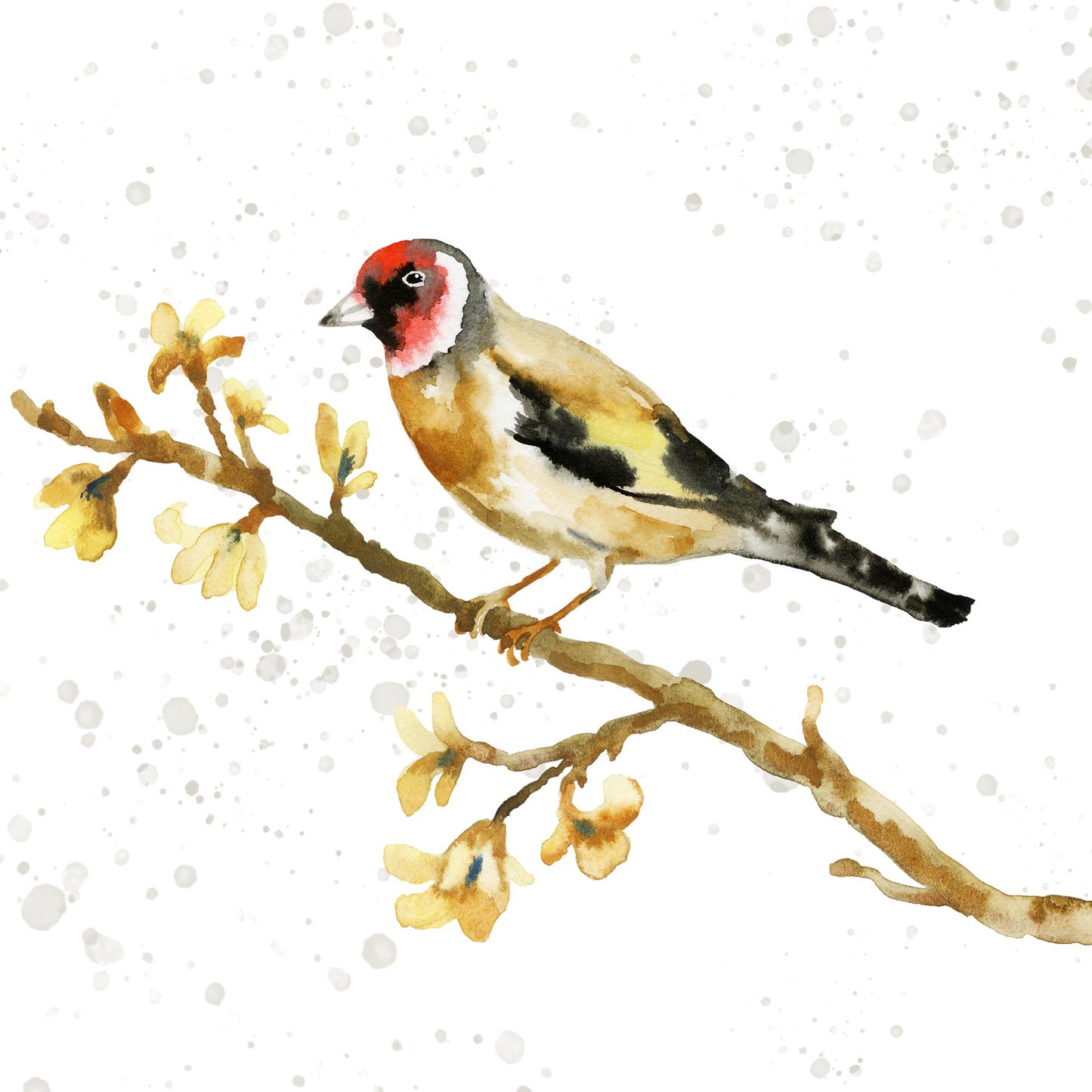Set of 6 garden bird greetings cards