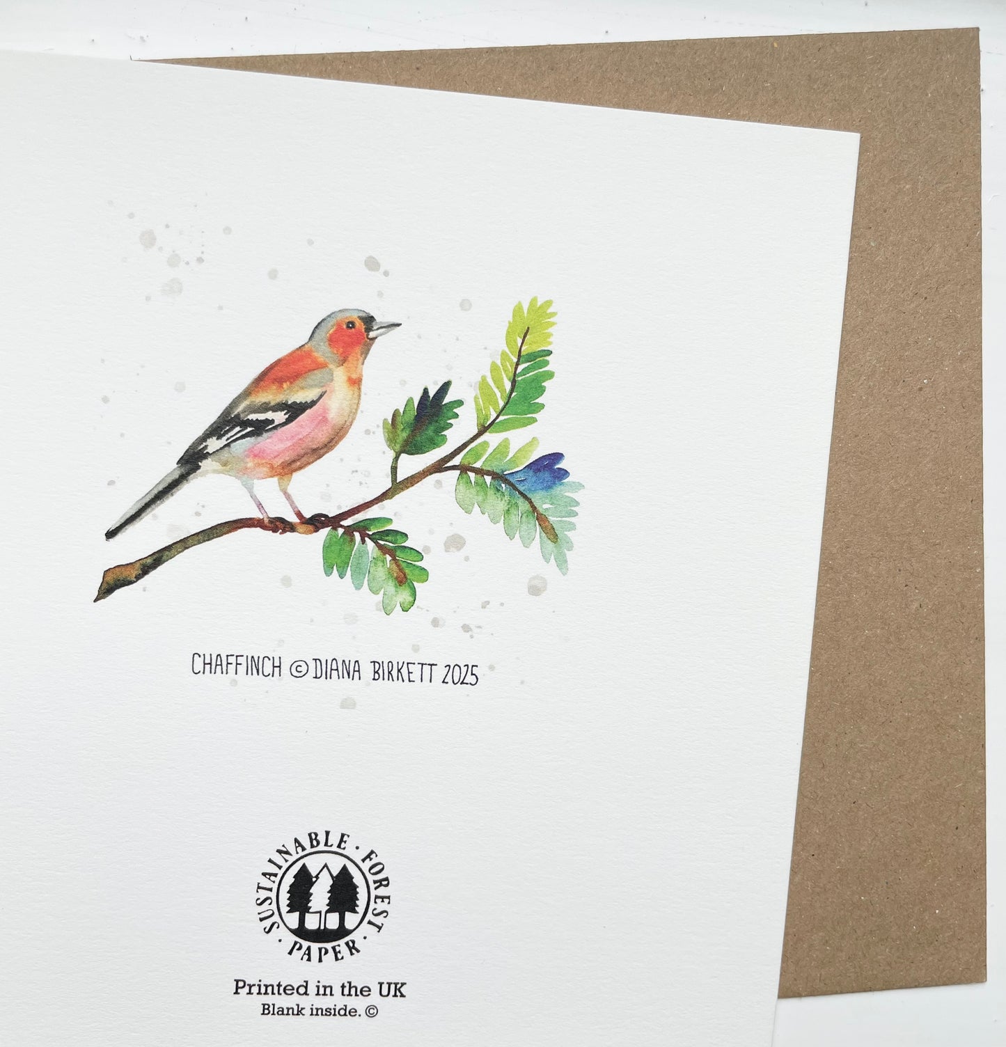 Set of 6 garden bird greetings cards