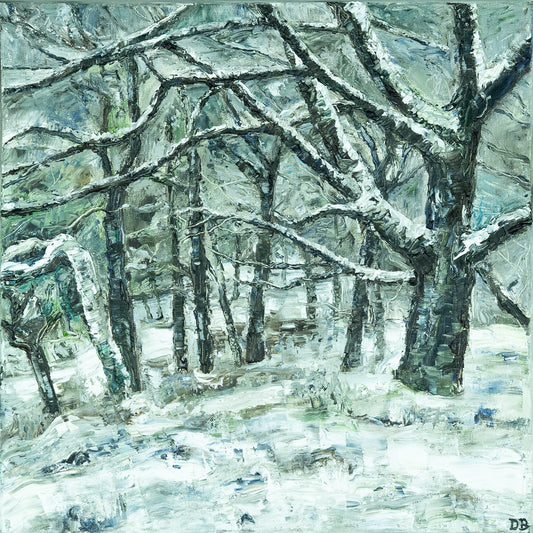 Snowy Trees at Shooters Clough