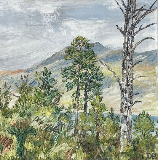 View of Beinn Eighe through pine trees, Scotland – Original Oil Painting