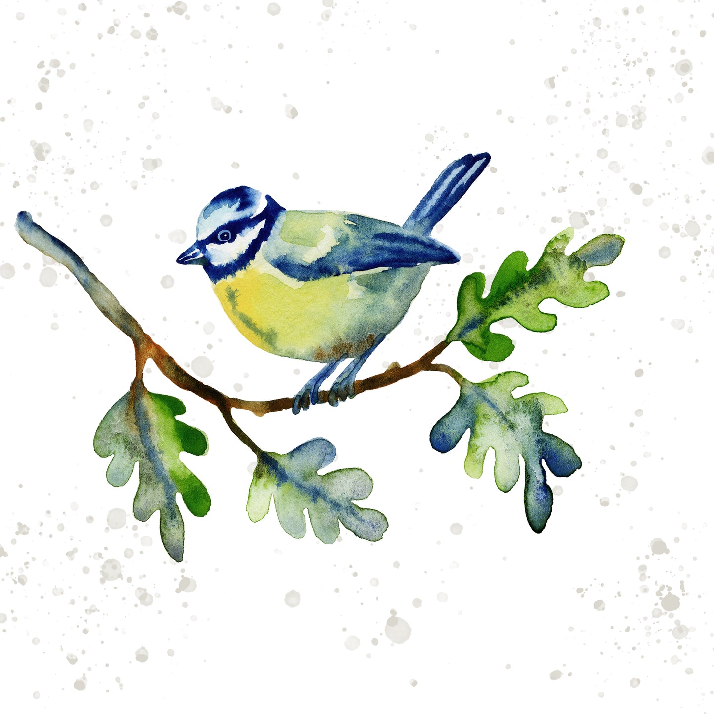 Set of 6 garden bird greetings cards