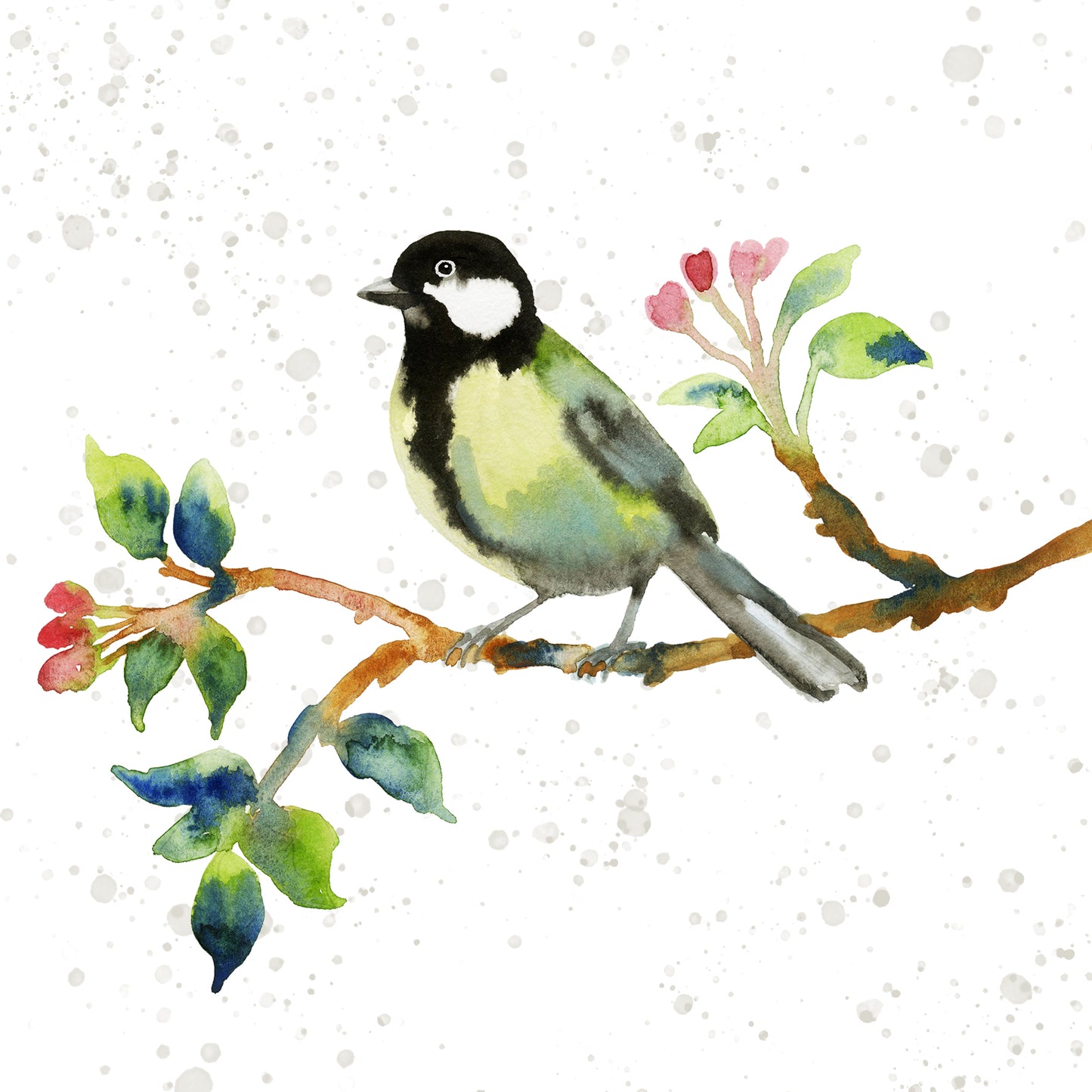Set of 6 garden bird greetings cards
