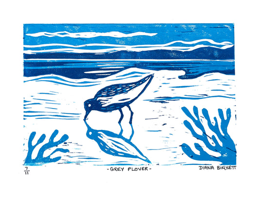 Grey Plover, linocut print