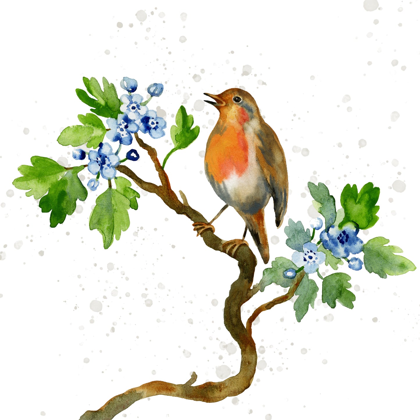 Set of 6 garden bird greetings cards